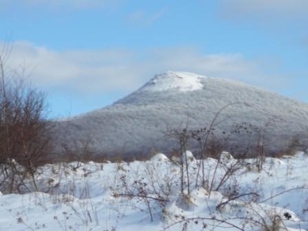 Caloroczne Domki Zacisze Hnatowego Berda W Wetlinie ベトリナ エクステリア 写真